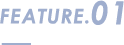 FEATURE.01